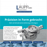 Flyer Laupp Defense